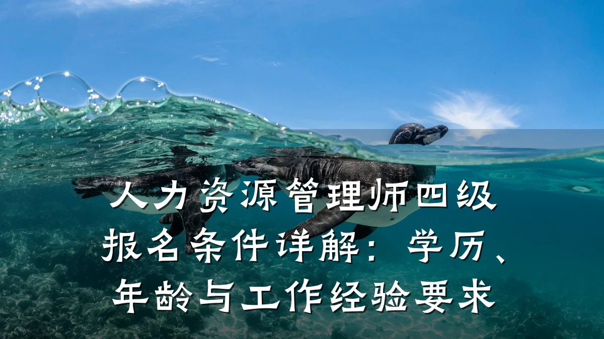 人力资源管理师四级报名条件详解:学历、年龄与工作经验要求