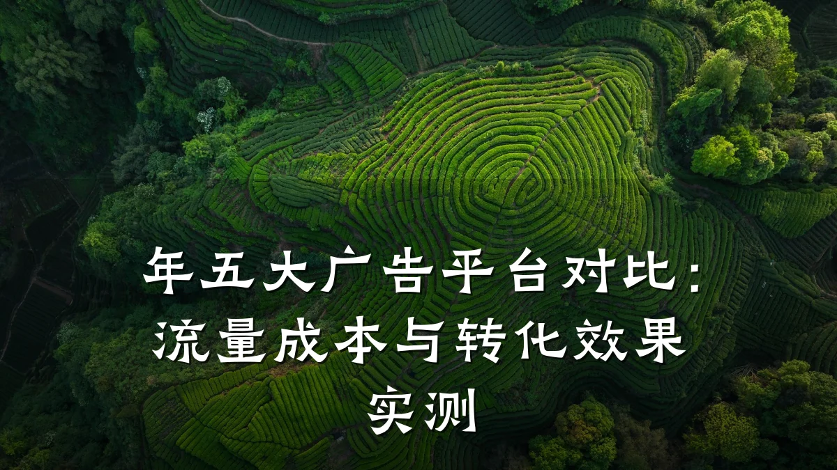 年五大广告平台对比:流量成本与转化效果实测