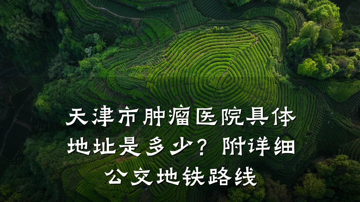 天津市肿瘤医院具体地址是多少？附详细公交地铁路线