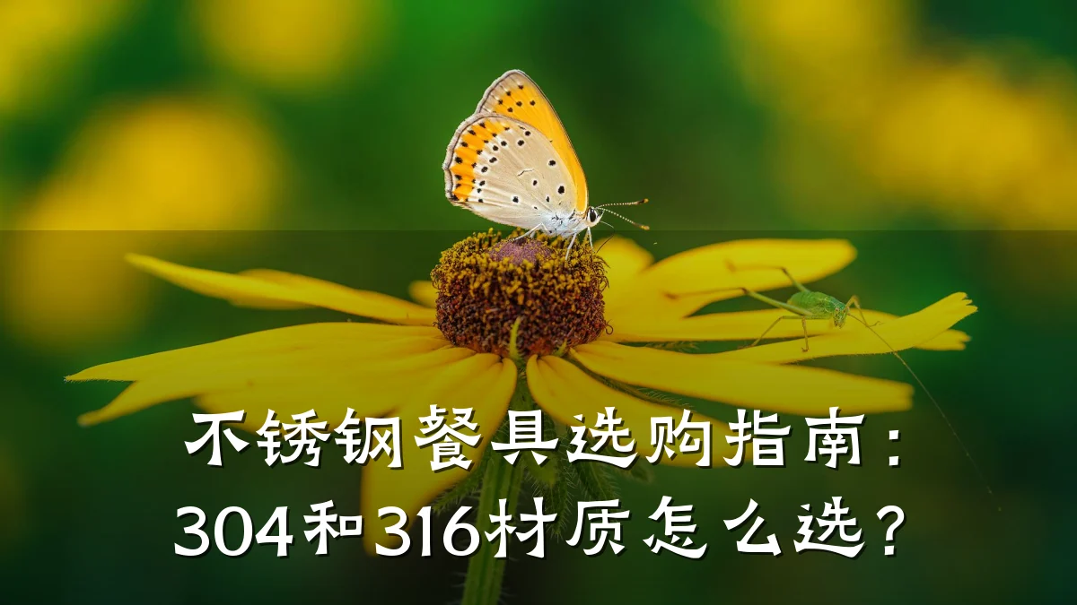 不锈钢餐具选购指南:304和316材质怎么选?