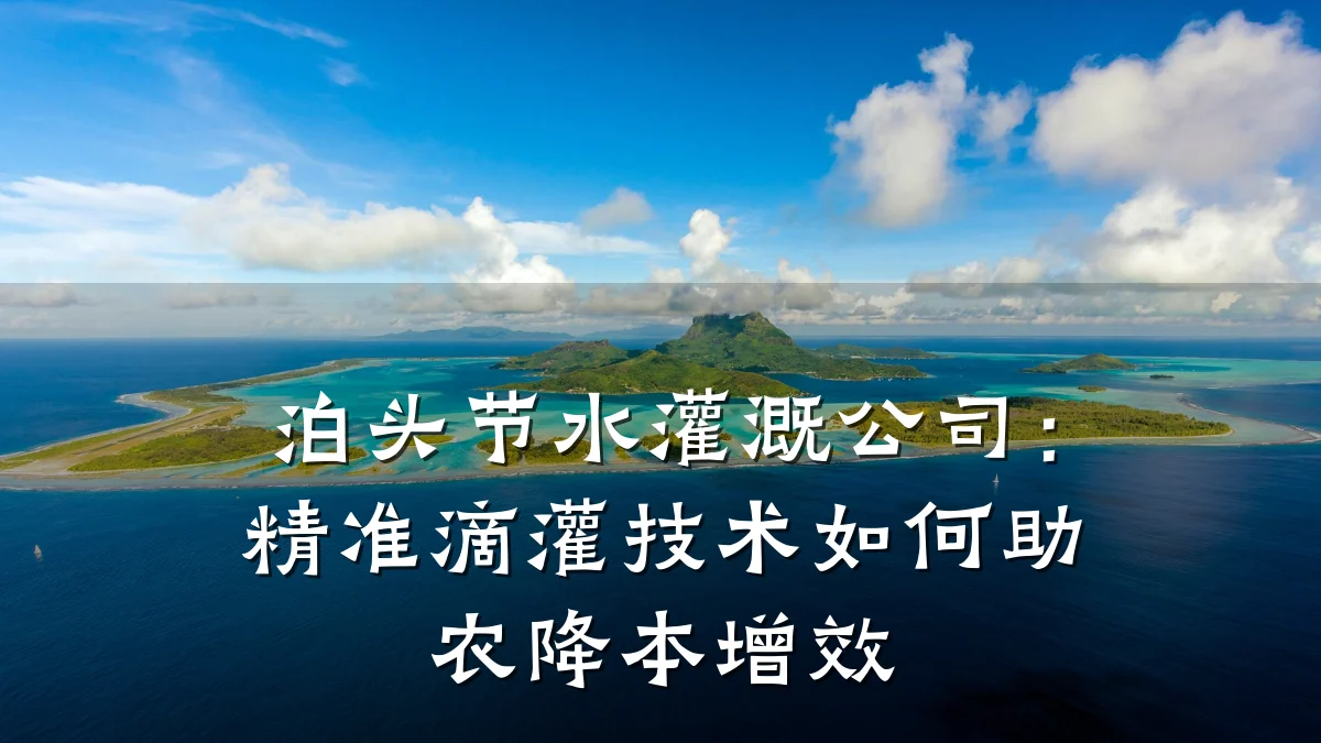 泊头节水灌溉公司:精准滴灌技术如何助农降本增效