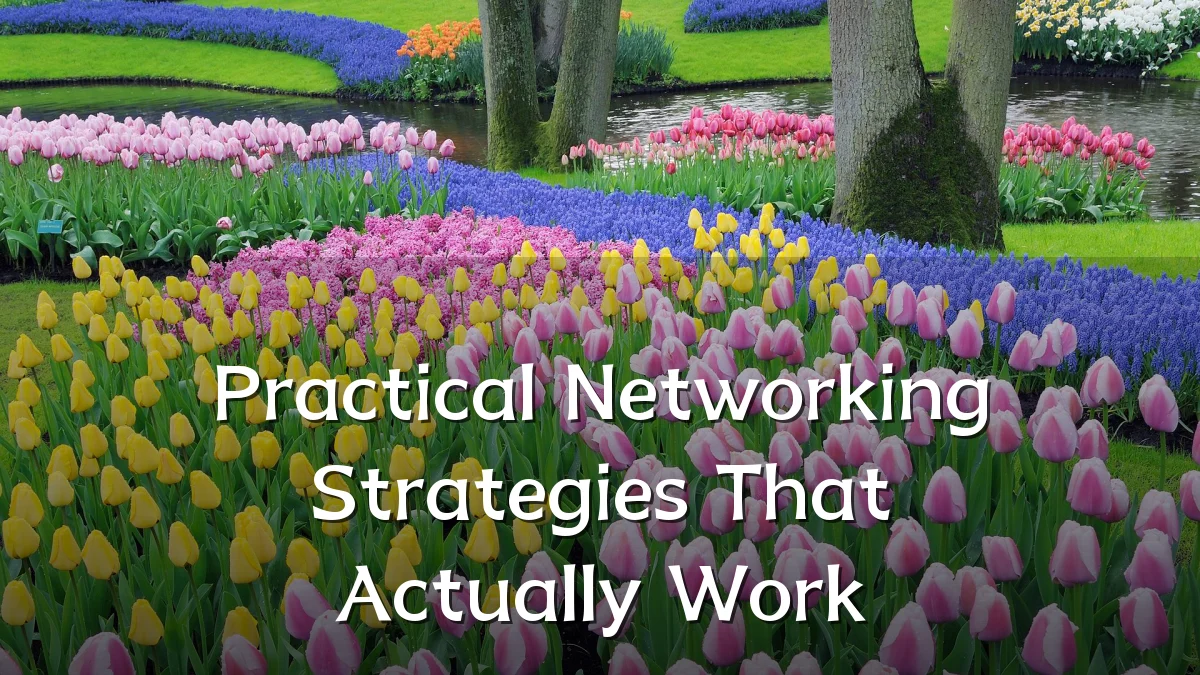 Practical Networking Strategies That Actually Work