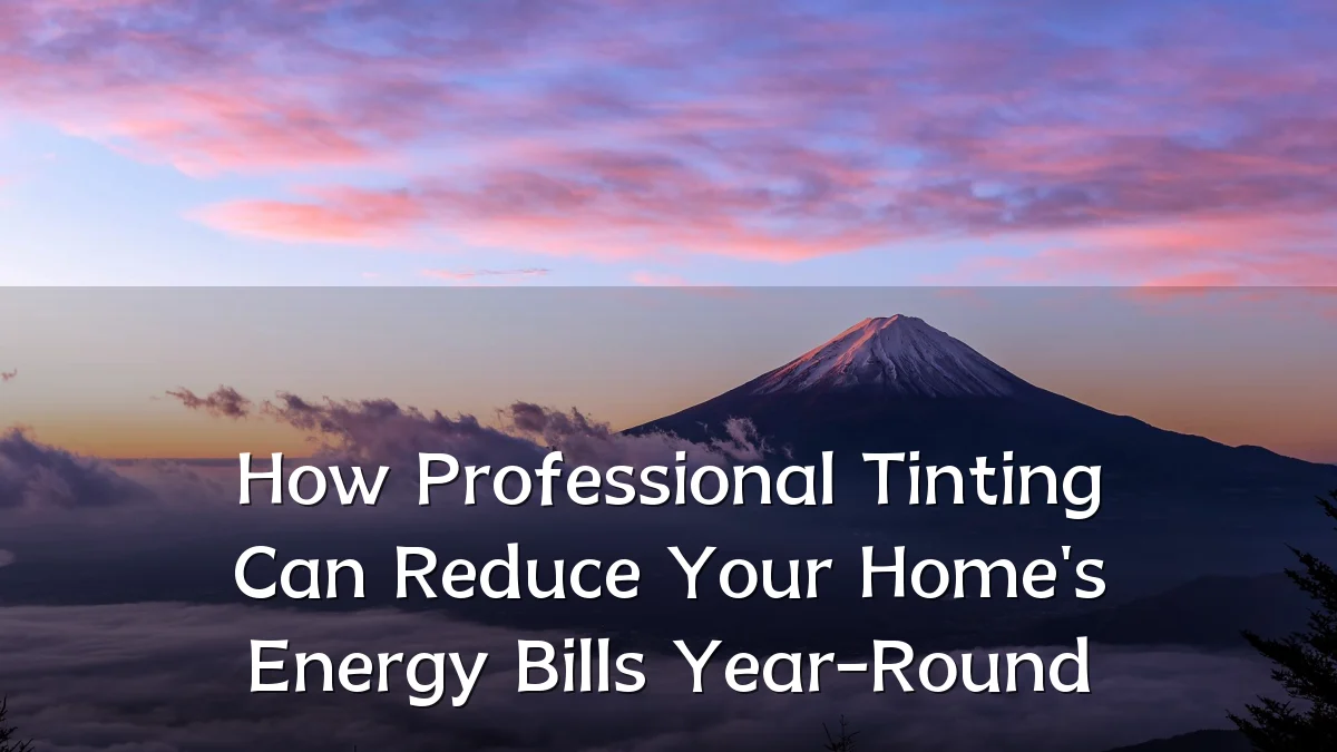 How Professional Tinting Can Reduce Your Home's Energy Bills Year-Round