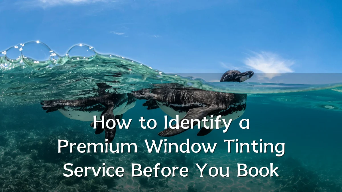 How to Identify a Premium Window Tinting Service Before You Book