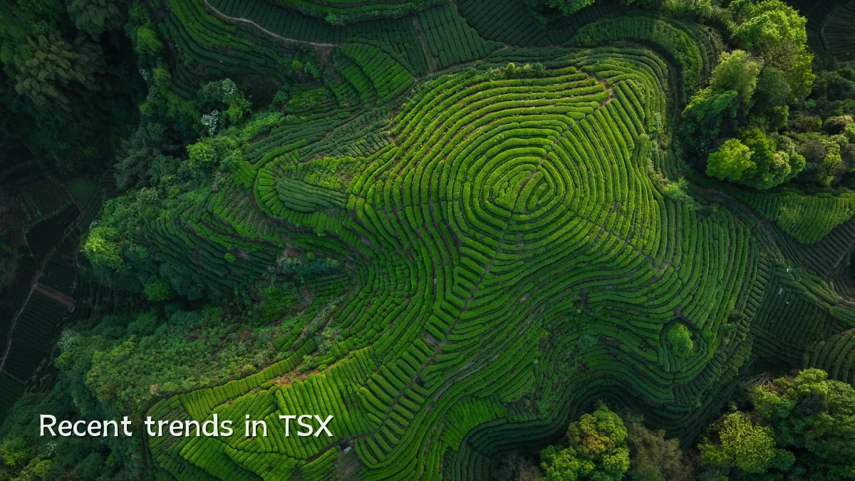 Recent trends in TSX