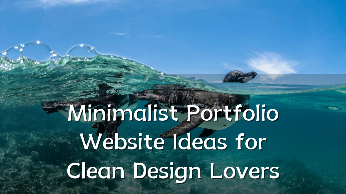 Minimalist Portfolio Website Ideas for Clean Design Lovers