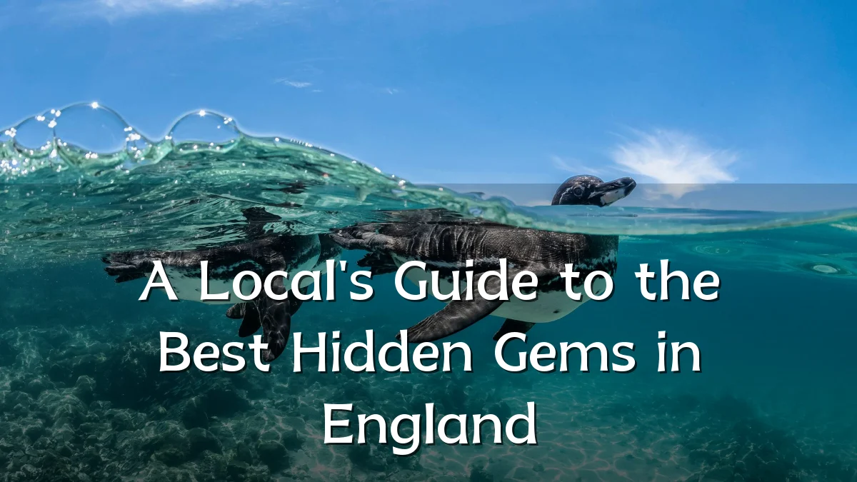 A Local's Guide to the Best Hidden Gems in England