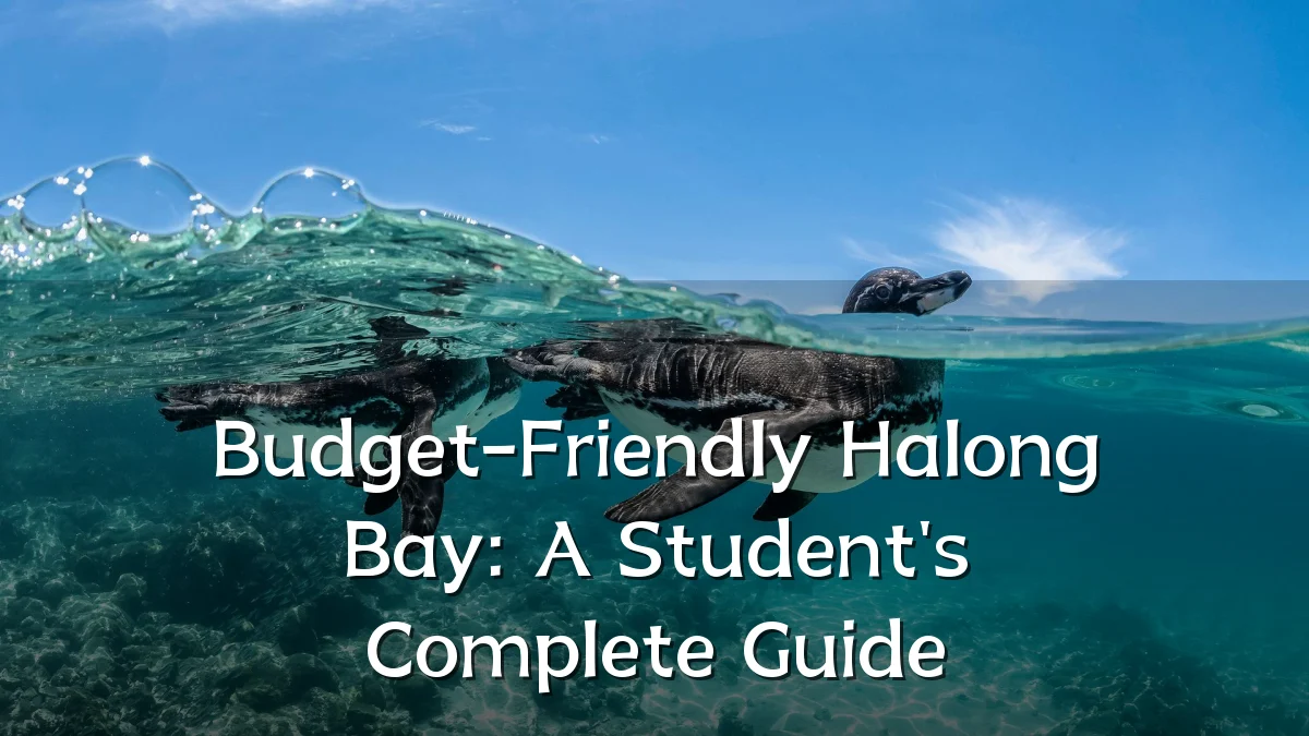 Budget-Friendly Halong Bay: A Student's Complete Guide
