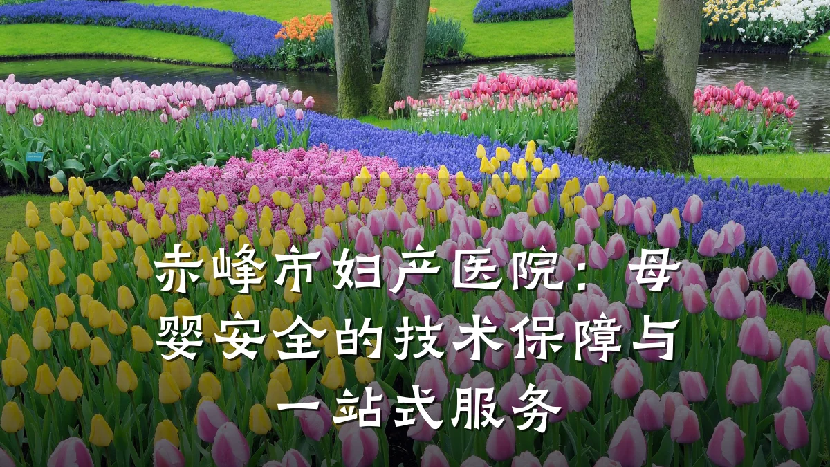 赤峰市妇产医院:母婴安全的技术保障与一站式服务