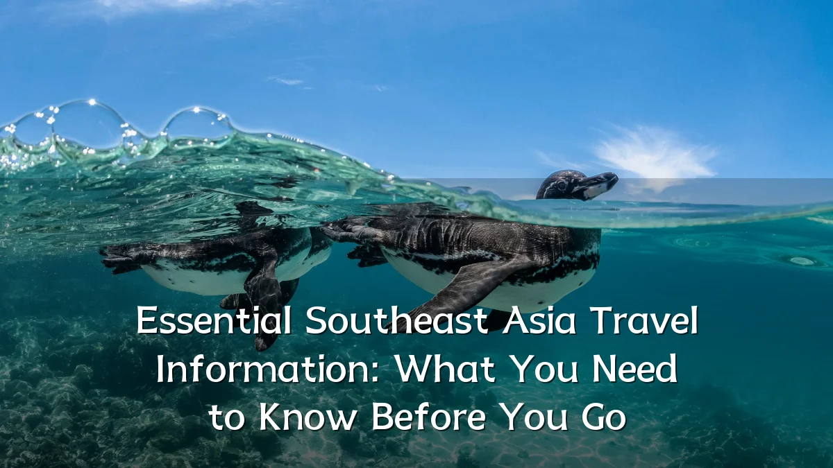 Essential Southeast Asia Travel Information: What You Need to Know Before You Go