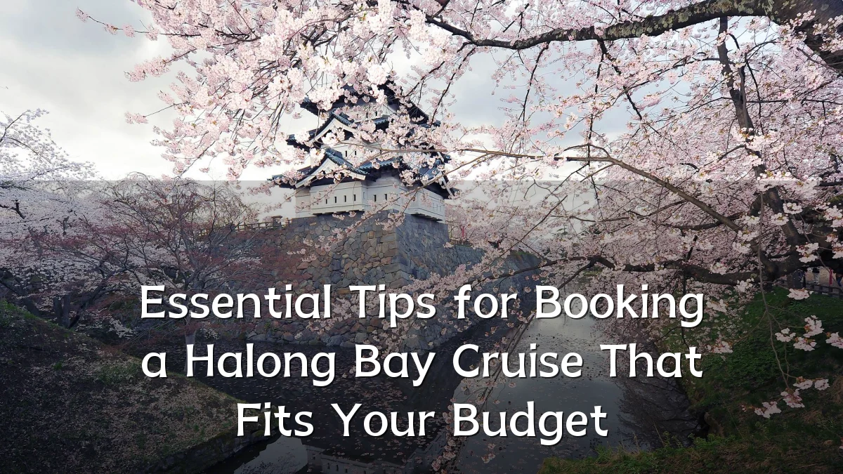Essential Tips for Booking a Halong Bay Cruise That Fits Your Budget