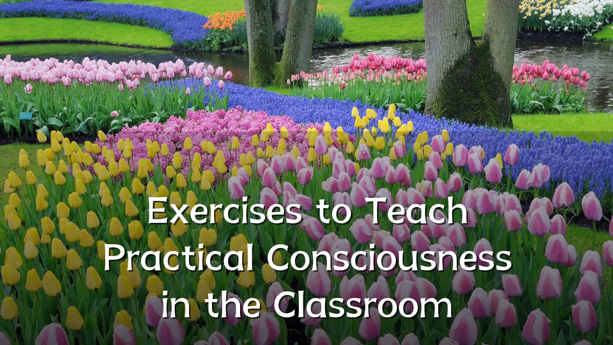 Exercises to Teach Practical Consciousness in the Classroom