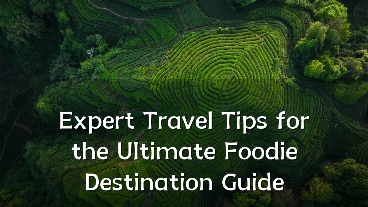 Expert Travel Tips for the Ultimate Foodie Destination Guide