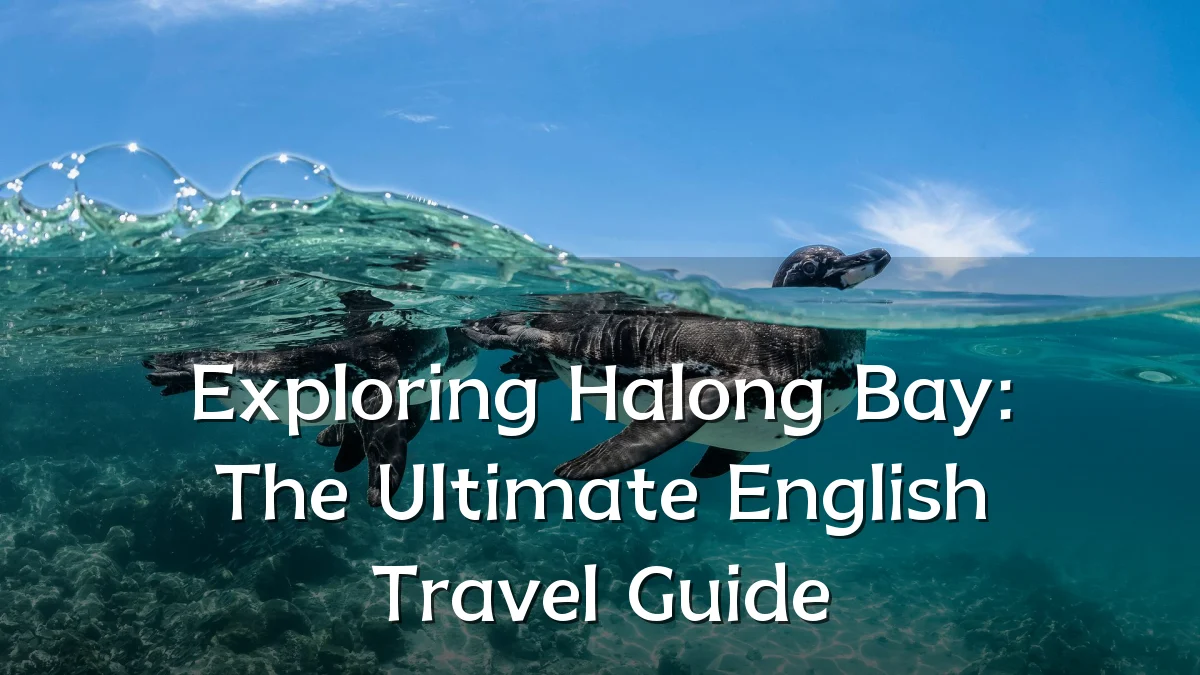 Exploring Halong Bay: The Ultimate English Travel Guide