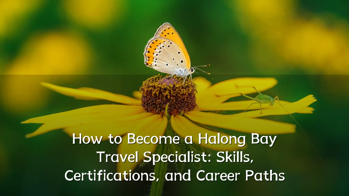 How to Become a Halong Bay Travel Specialist: Skills, Certifications, and Career Paths