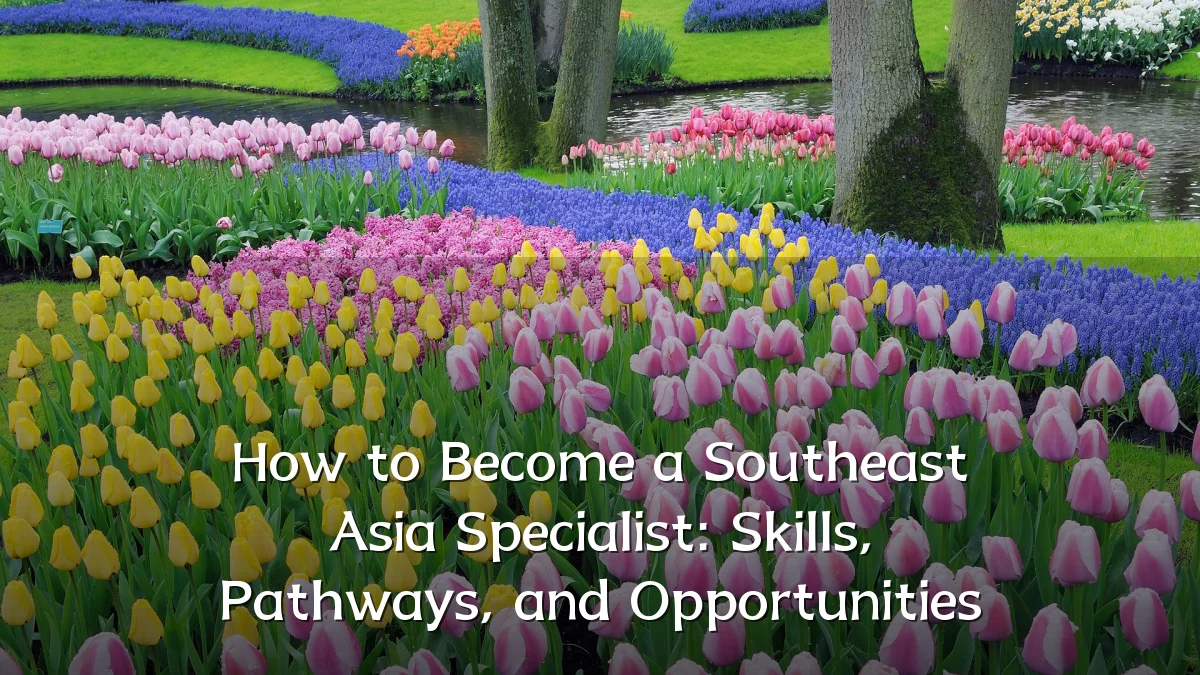 How to Become a Southeast Asia Specialist: Skills, Pathways, and Opportunities