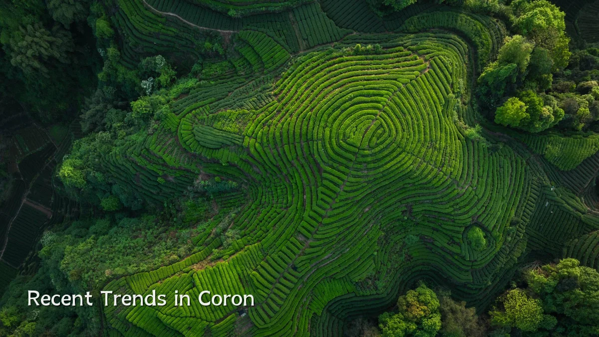 Recent Trends in Coron