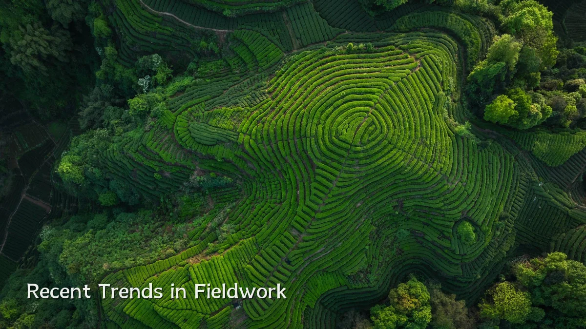 Recent Trends in Fieldwork