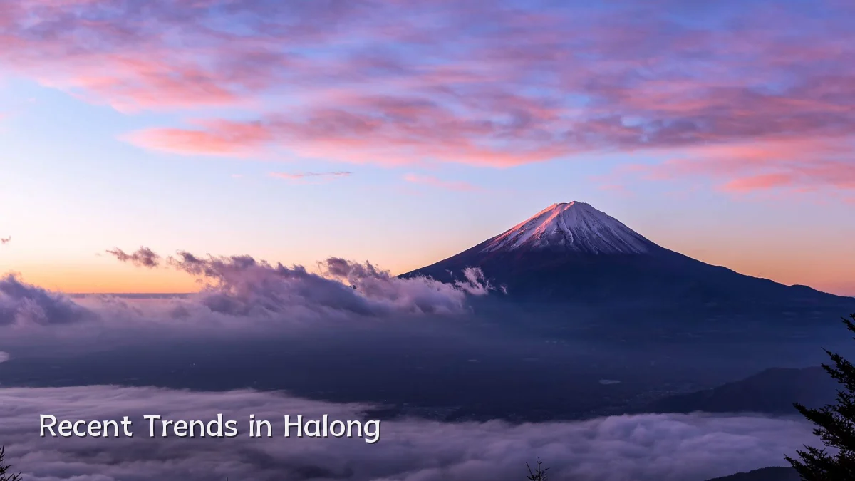 Recent Trends in Halong