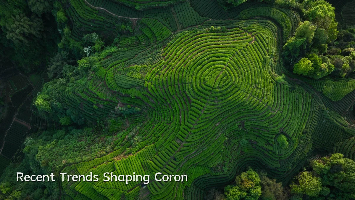 Recent Trends Shaping Coron