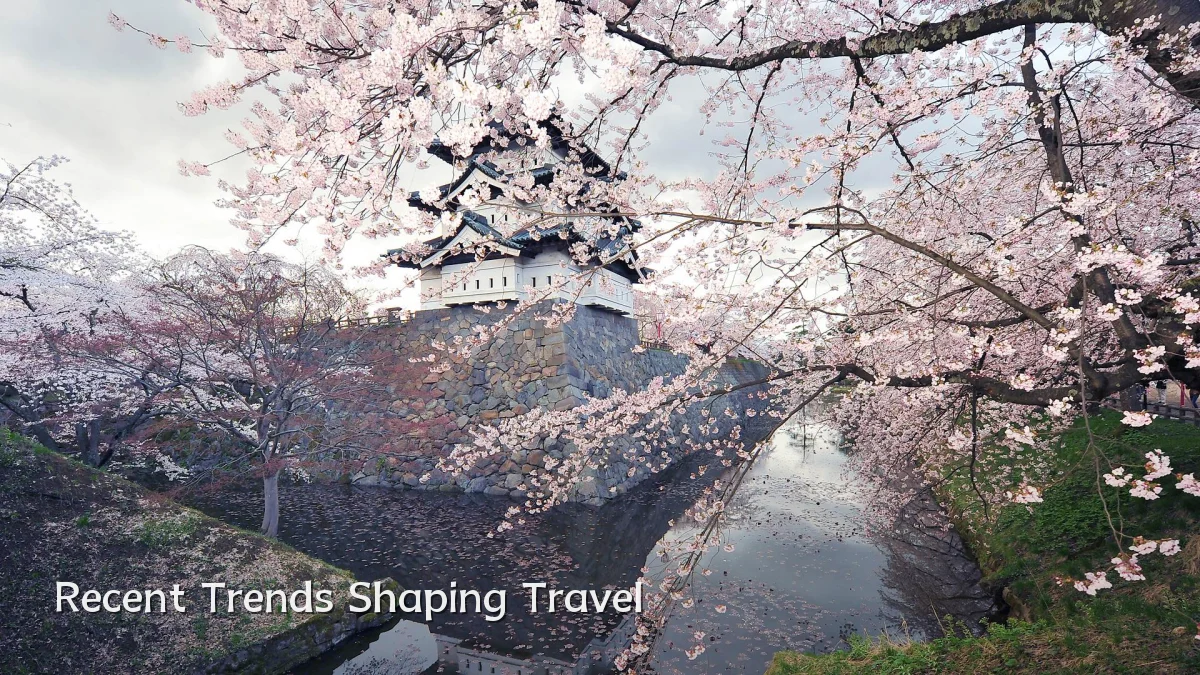 Recent Trends Shaping Travel