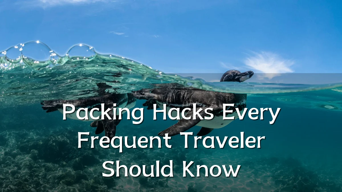 Packing Hacks Every Frequent Traveler Should Know