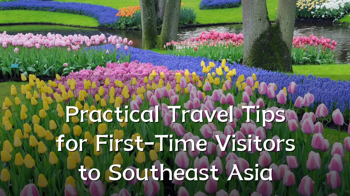 Practical Travel Tips for First-Time Visitors to Southeast Asia