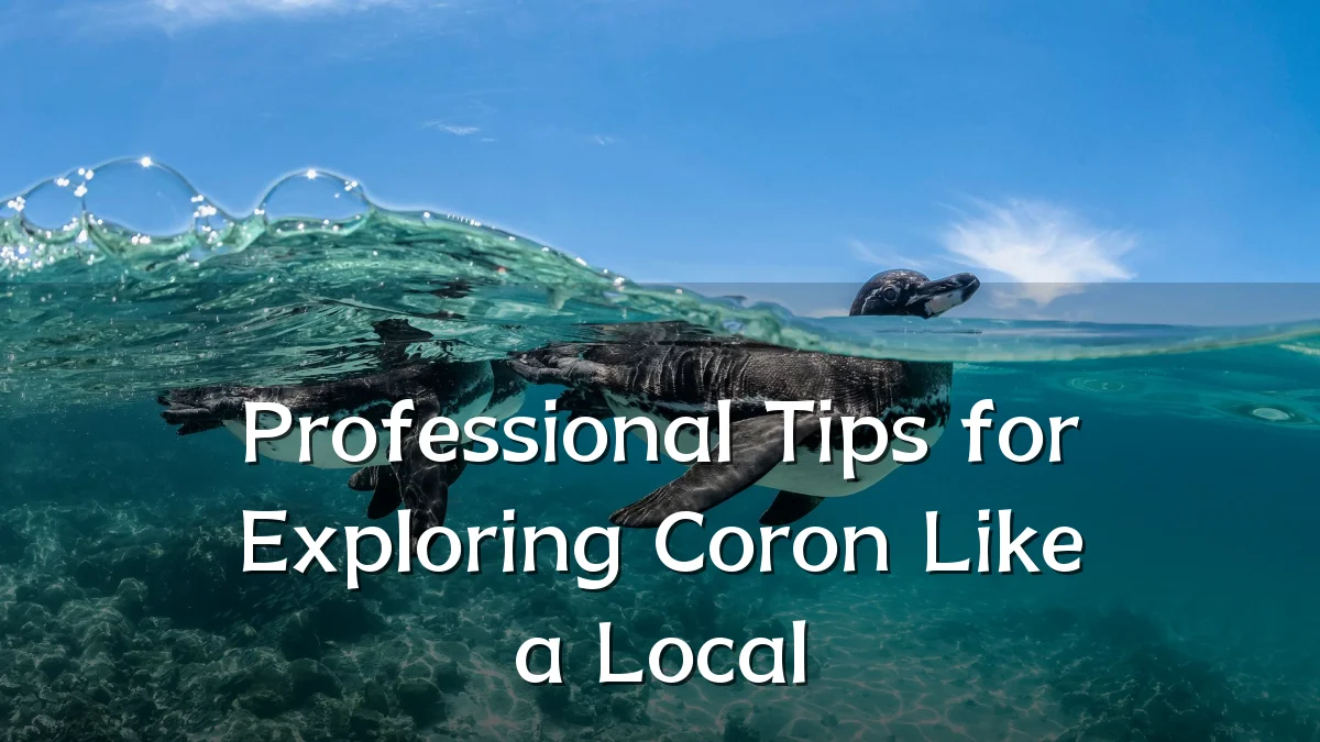 Professional Tips for Exploring Coron Like a Local
