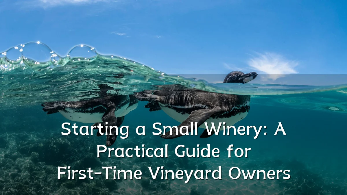 Starting a Small Winery: A Practical Guide for First-Time Vineyard Owners