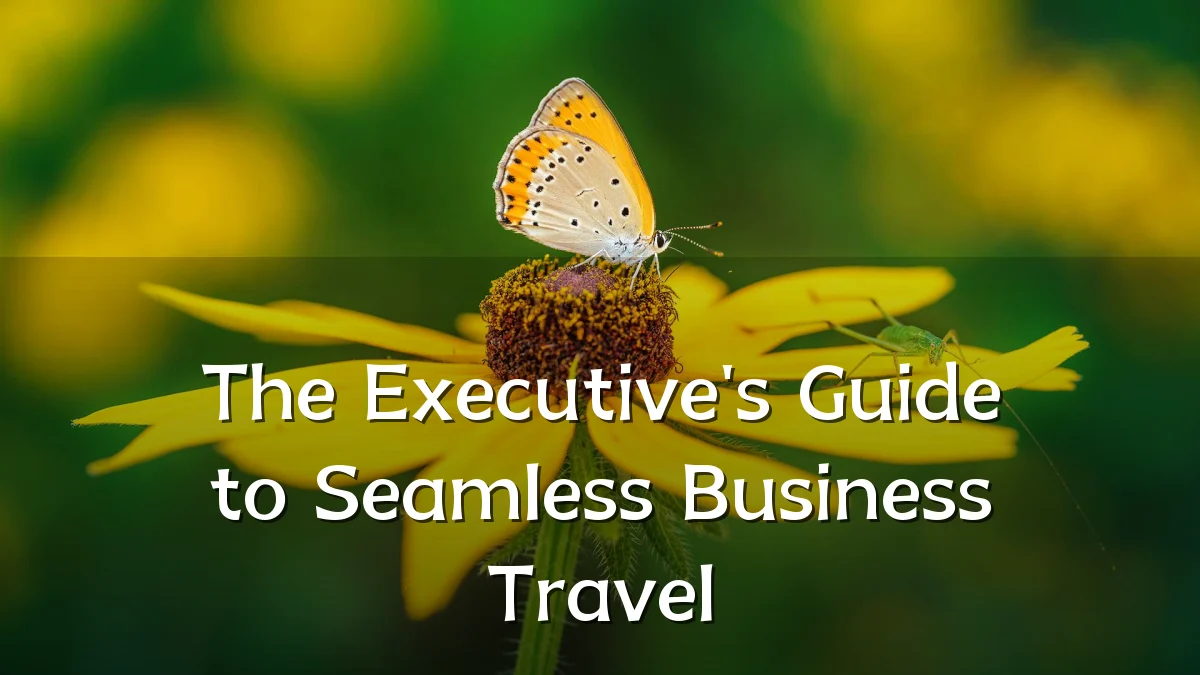 The Executive's Guide to Seamless Business Travel