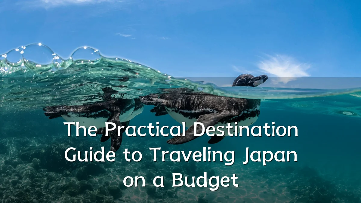The Practical Destination Guide to Traveling Japan on a Budget