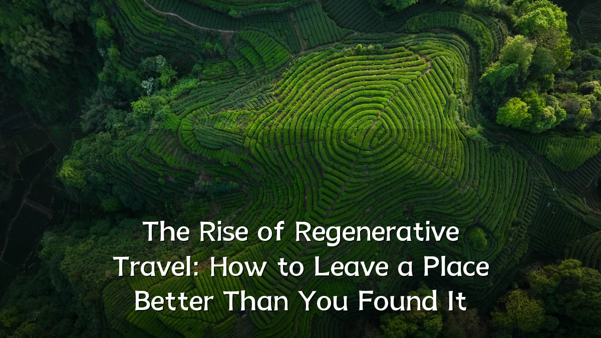 The Rise of Regenerative Travel: How to Leave a Place Better Than You Found It