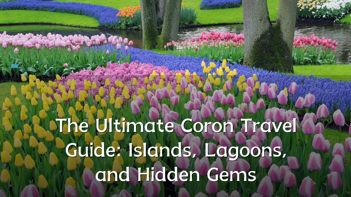 The Ultimate Coron Travel Guide: Islands, Lagoons, and Hidden Gems