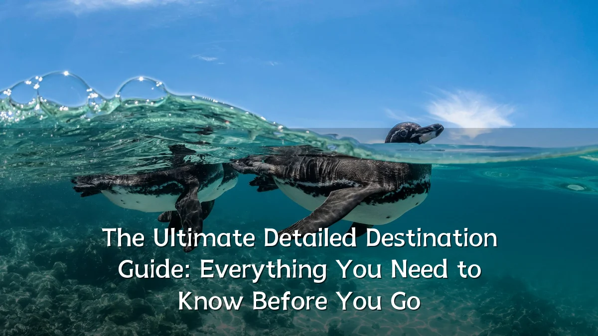 The Ultimate Detailed Destination Guide: Everything You Need to Know Before You Go