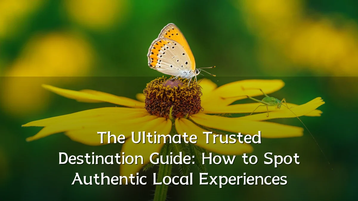 The Ultimate Trusted Destination Guide: How to Spot Authentic Local Experiences