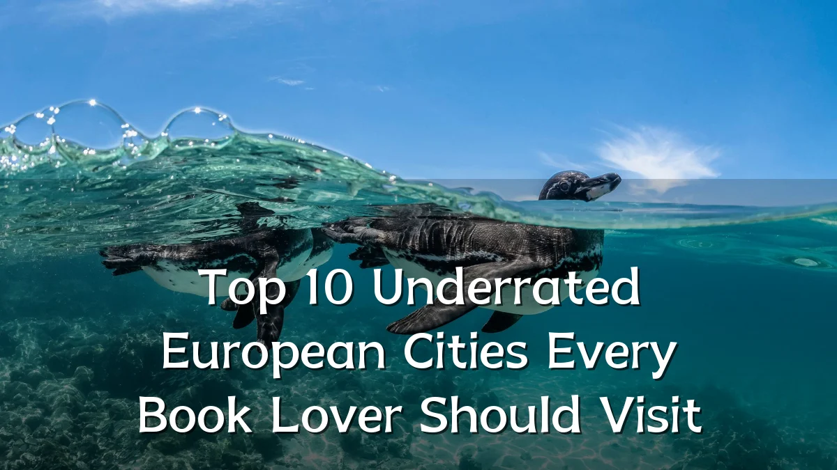 Top 10 Underrated European Cities Every Book Lover Should Visit