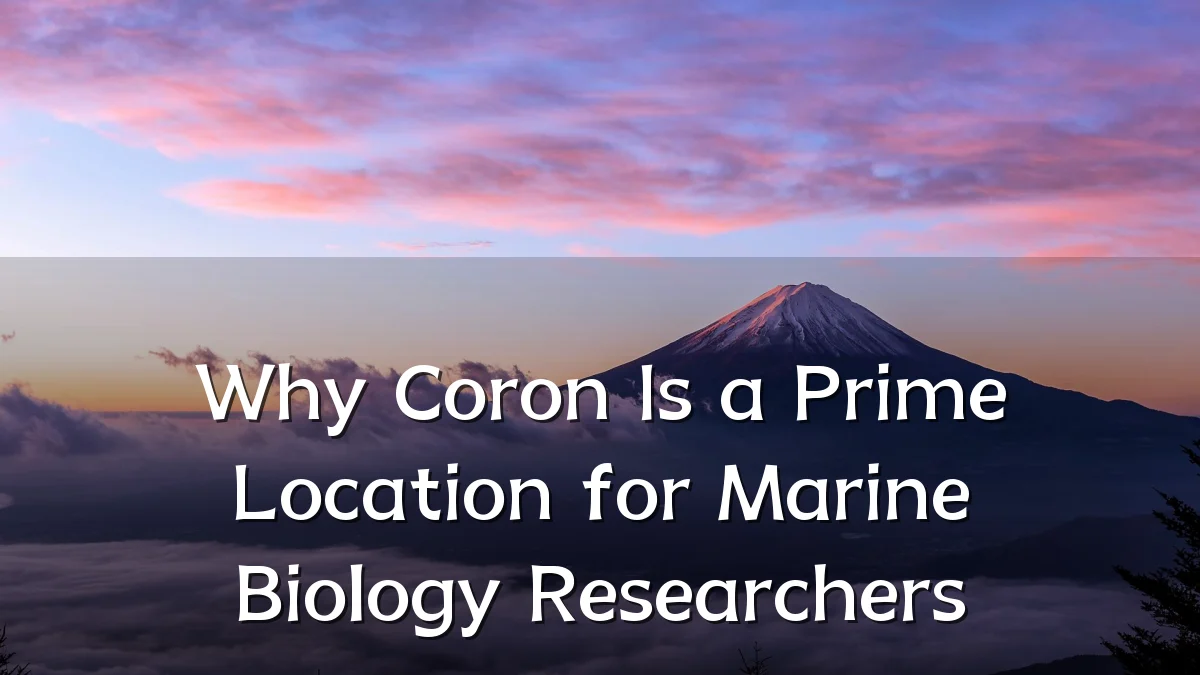 Why Coron Is a Prime Location for Marine Biology Researchers
