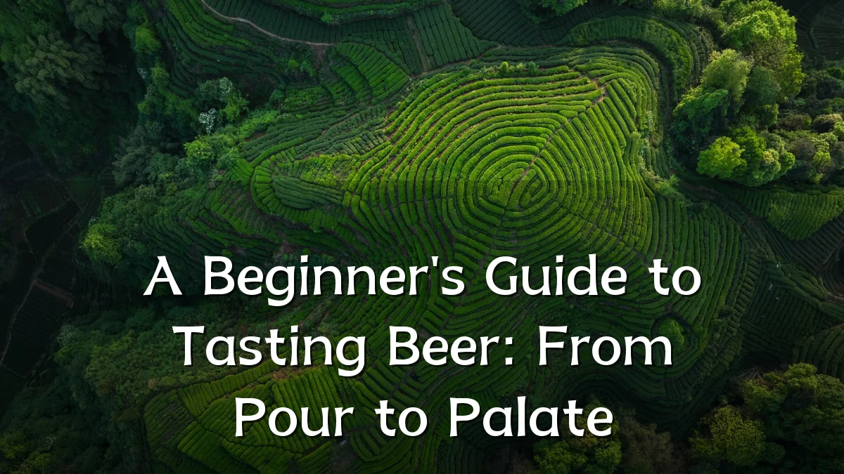 A Beginner's Guide to Tasting Beer: From Pour to Palate