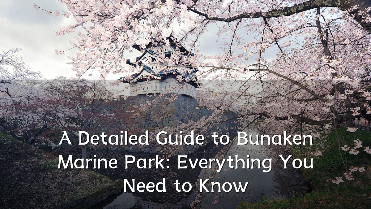A Detailed Guide to Bunaken Marine Park: Everything You Need to Know