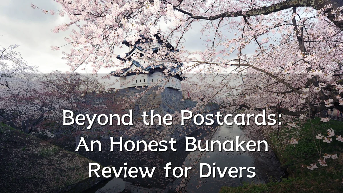 Beyond the Postcards: An Honest Bunaken Review for Divers