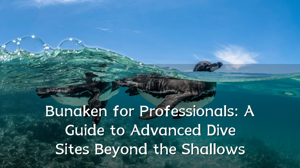 Bunaken for Professionals: A Guide to Advanced Dive Sites Beyond the Shallows