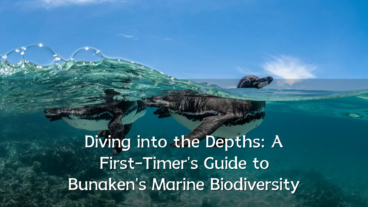 Diving into the Depths: A First-Timer's Guide to Bunaken's Marine Biodiversity