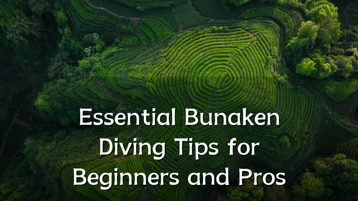 Essential Bunaken Diving Tips for Beginners and Pros