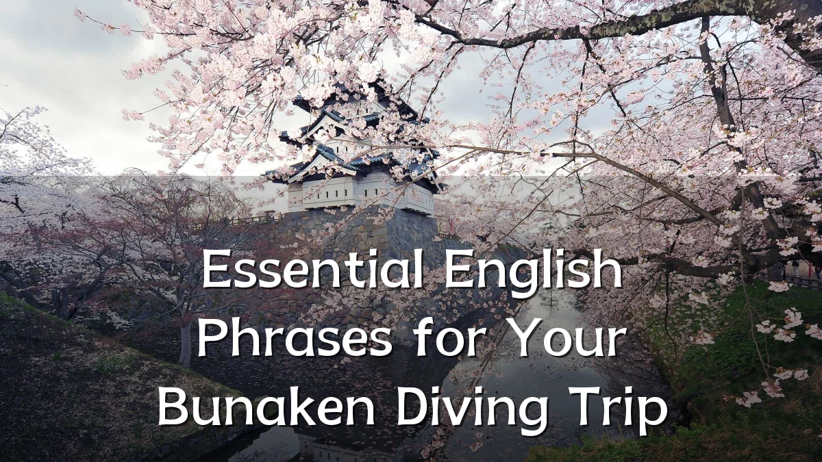 Essential English Phrases for Your Bunaken Diving Trip