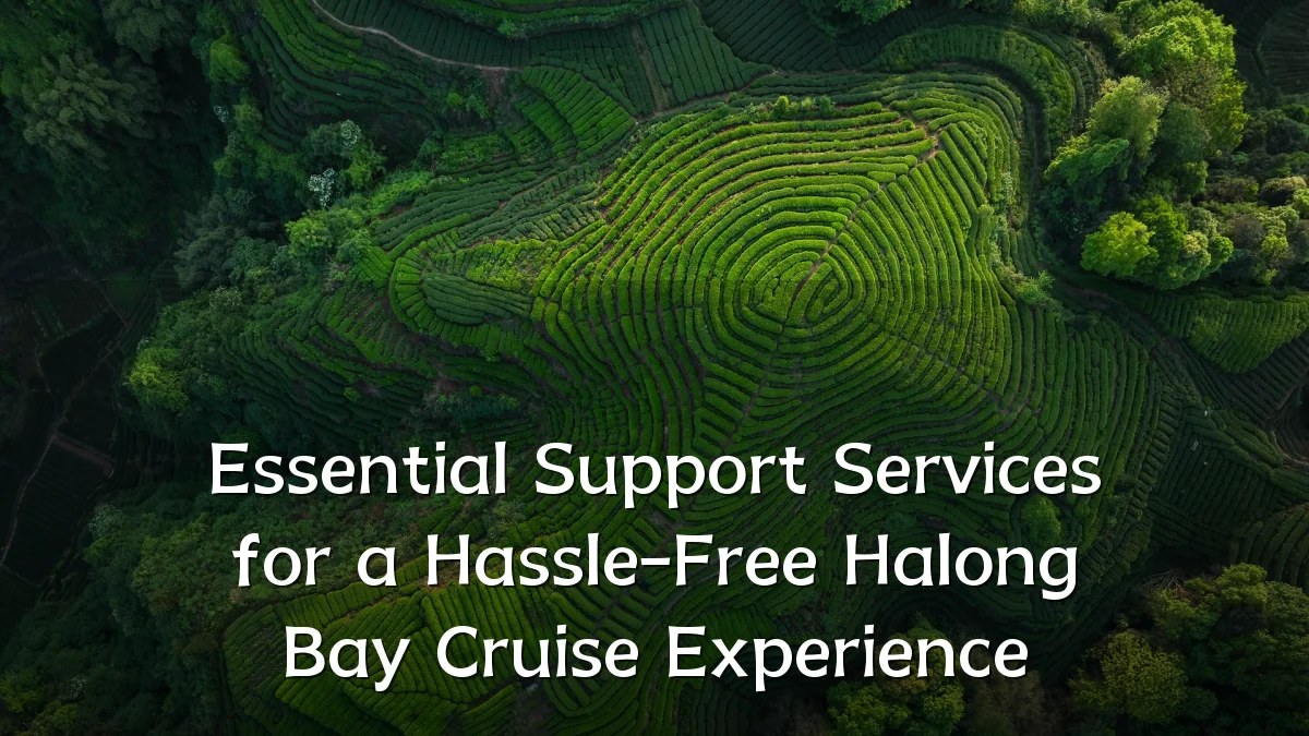 Essential Support Services for a Hassle-Free Halong Bay Cruise Experience