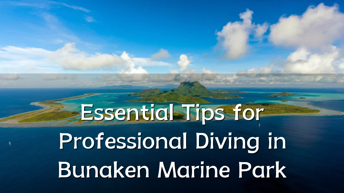 Essential Tips for Professional Diving in Bunaken Marine Park