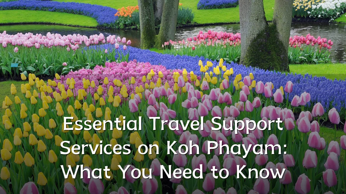 Essential Travel Support Services on Koh Phayam: What You Need to Know