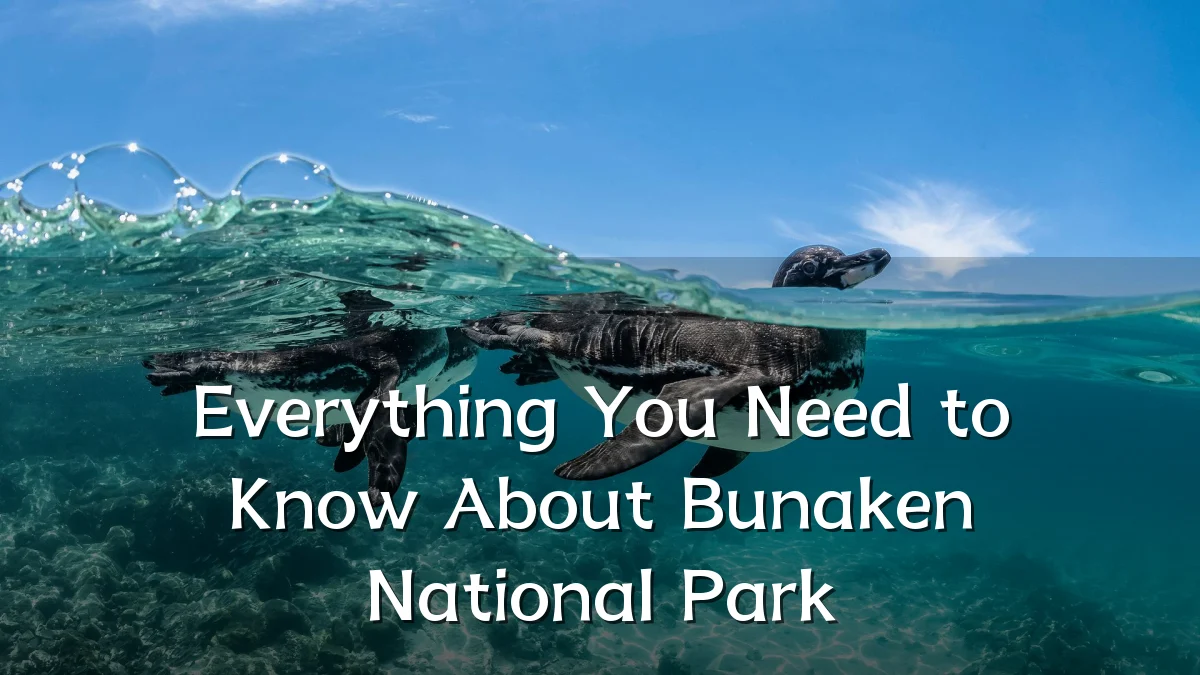 Everything You Need to Know About Bunaken National Park