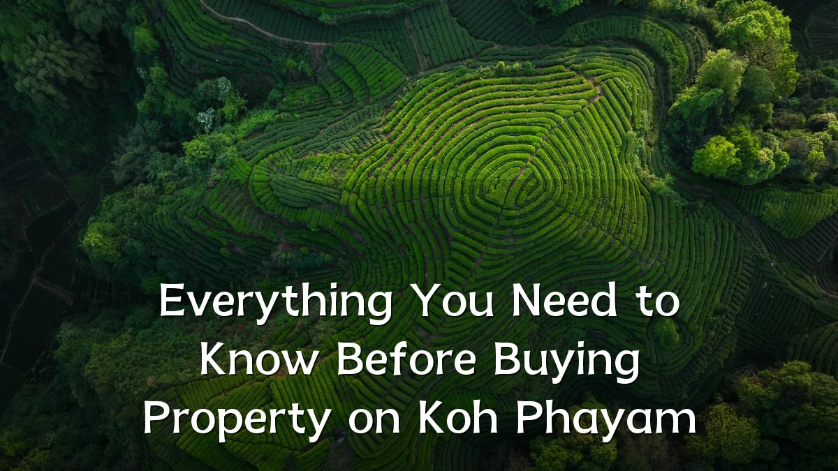 Everything You Need to Know Before Buying Property on Koh Phayam