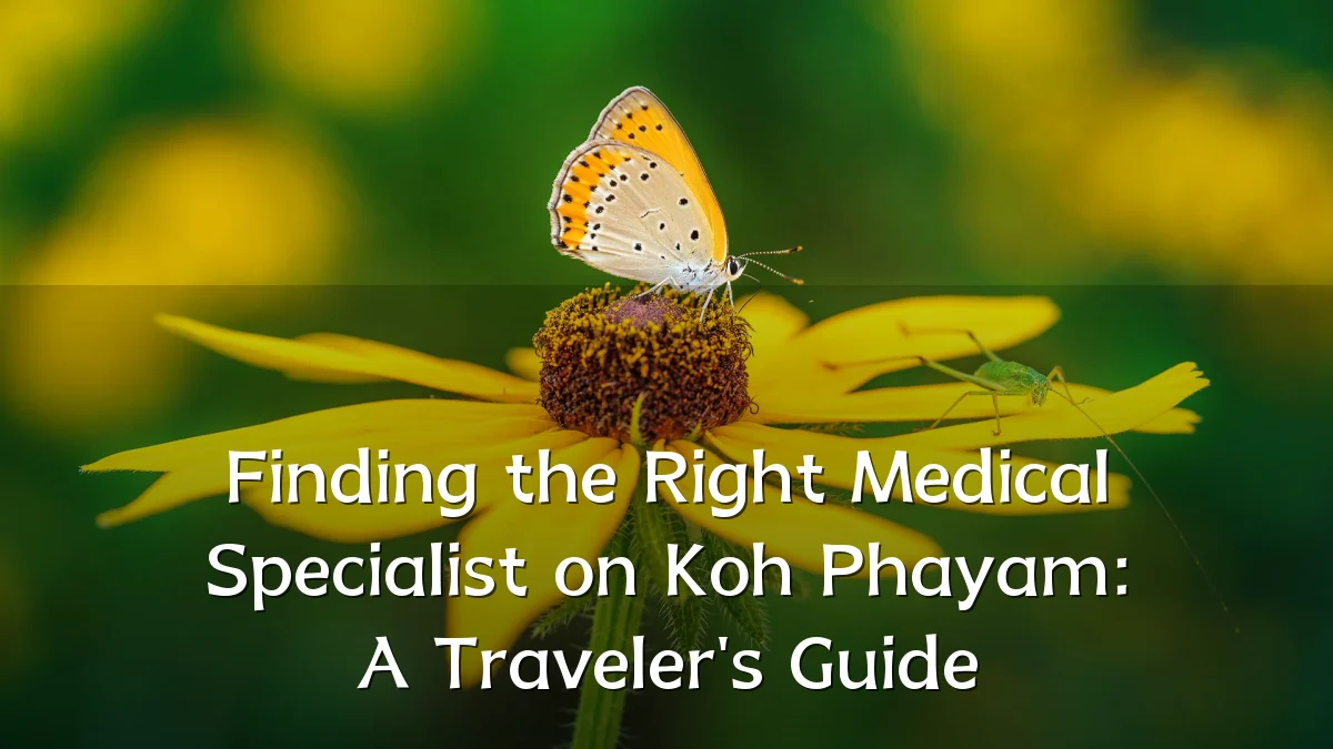 Finding the Right Medical Specialist on Koh Phayam: A Traveler's Guide